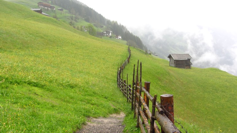 Saftige Wiese am Steinerkogel