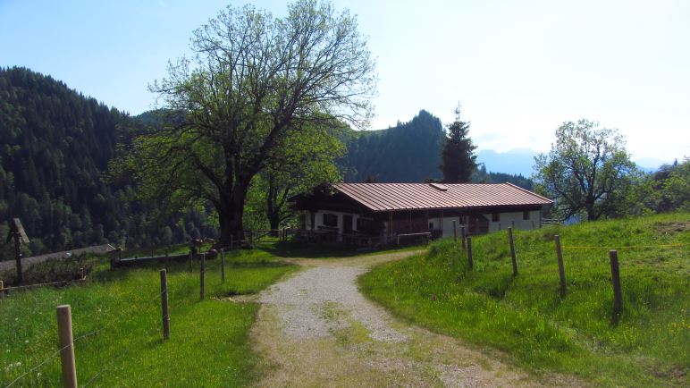 An der Talalm kann man noch einmal auf einen Wiesenweg wechseln