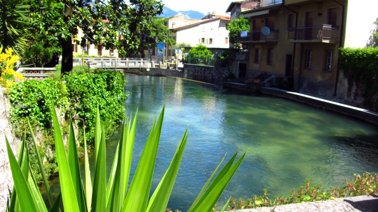 In diesem Becken entspringt der Aril. Aus dem Boden drückt das Wasser ins Becken.