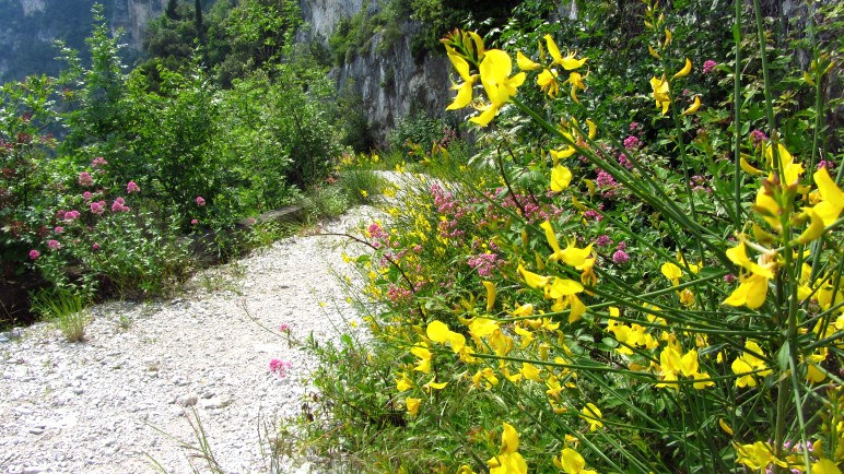 Auf dem Wanderweg nach Campione