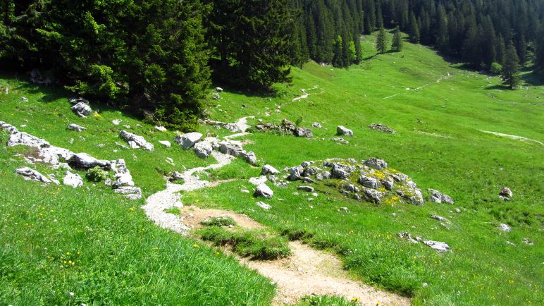 Auf dem Weg zur Schreckalm