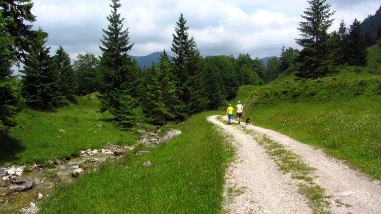 Bergab auf der alten Spitzingstraße