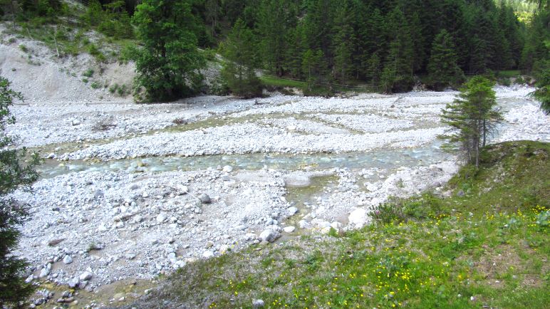 Am Torbach entlang geht es zurück Richtung Rißtal