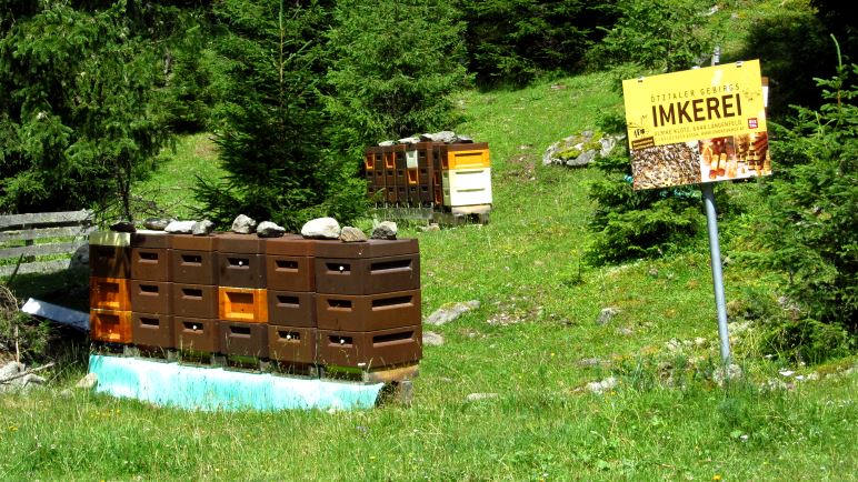 Viel Flugverkehr an den Bienenstöcken der Ötztaler Gebirgs-Imkerei