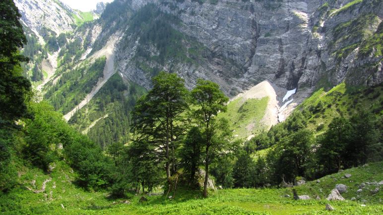 Blick hinab ins Tortal