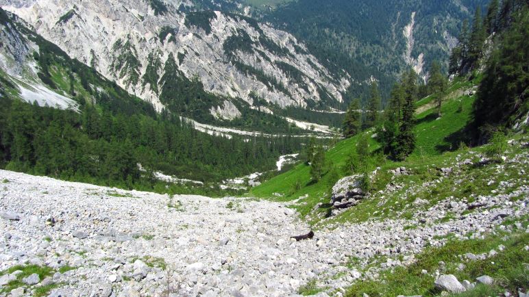 Das Geröllfeld und der Blick zurück ins Rontal