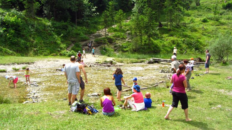 Die große Picknickwiese der Stockeralm mit dem Hachelbach