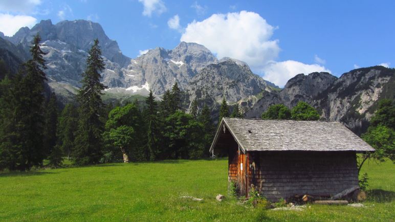 Plötzlich steht man auf der weiten Fläche der Rontalalm