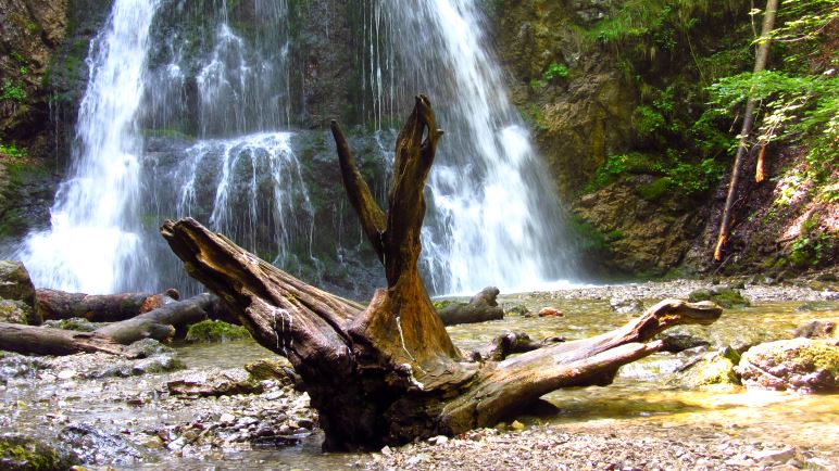 Wachsreste auf der großen Wurzel vor dem Wasserfall - hier wird wohl öfter mal gefeiert