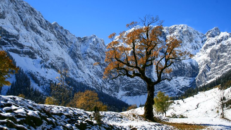 Herbstwanderung am Ahornboden im Karwendel. An einem Oktobermorgen