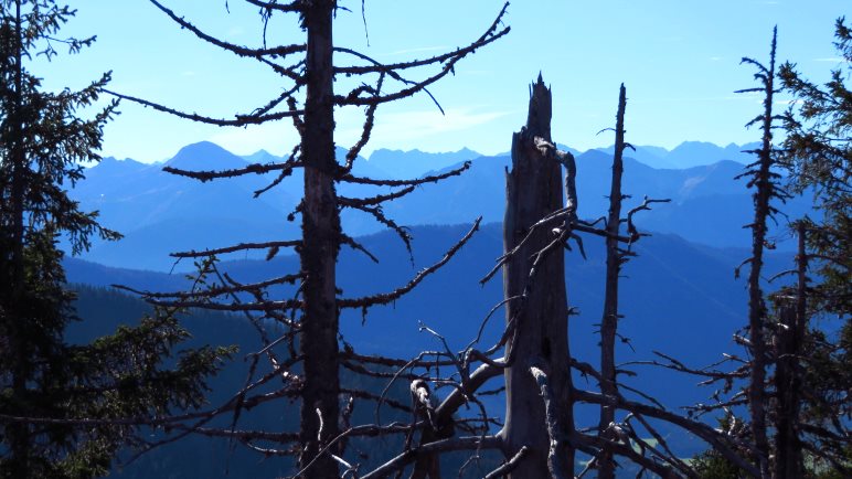 Trotz Bäumen: Auch der Blick vom Geierstein nach Süden ist beeindruckend