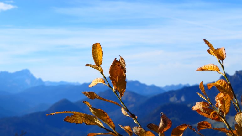 Eine Herbstwanderung von Lenggries über den Geierstein und den Fockenstein zum Tegernsee