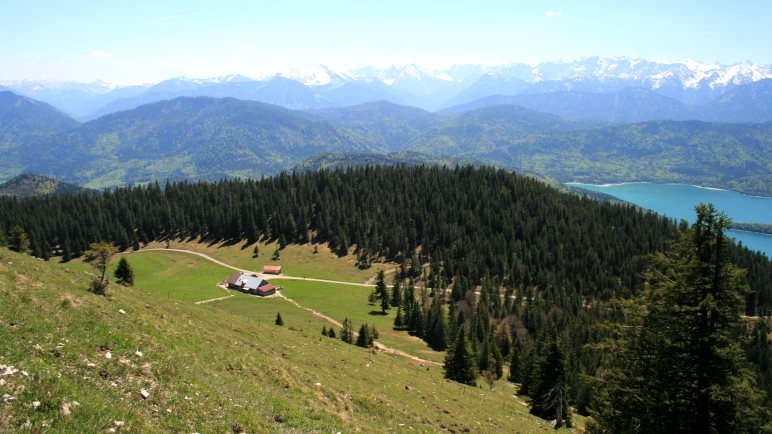 Ausblick vom Jochberg auf die Jocheralm, den Walchensee und die Alpenkette