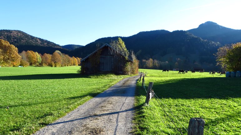 Über die Wiesen gehen wir dem Aufstieg zum Geierstein entgegen