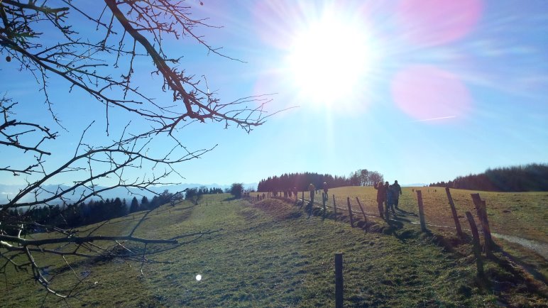 Auf der Ilkahöhe