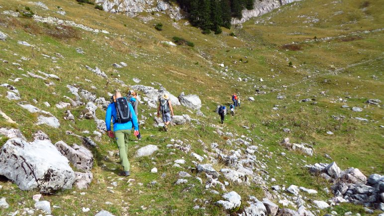 Über die Wiese wandern wir in Richtung Gipfel