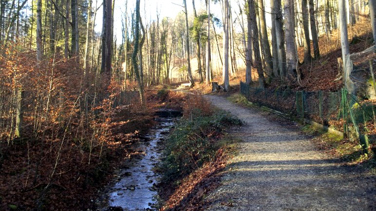 Am Martelsgraben entlang durch den Tutzinger Wald