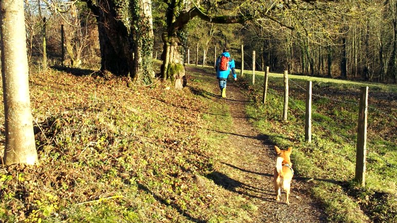 Auf dem Weg zum Forsthaus Ilkahöhe