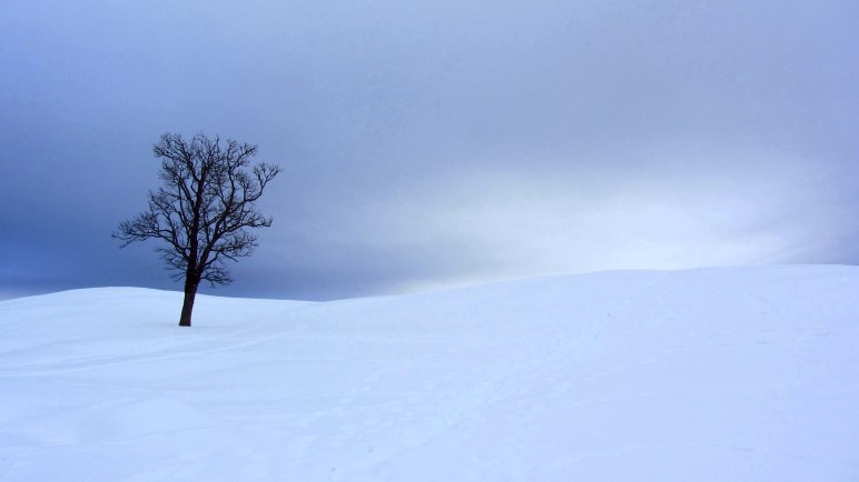 Winterwandern in Bayern, hier auf der Hemmersuppenalm oberhalb von Reit im Winkl