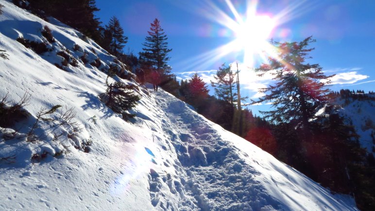 Im oberen Teil des Aufstiegs zur Hochries habe ich endlich eine geschlossene Schneedecke