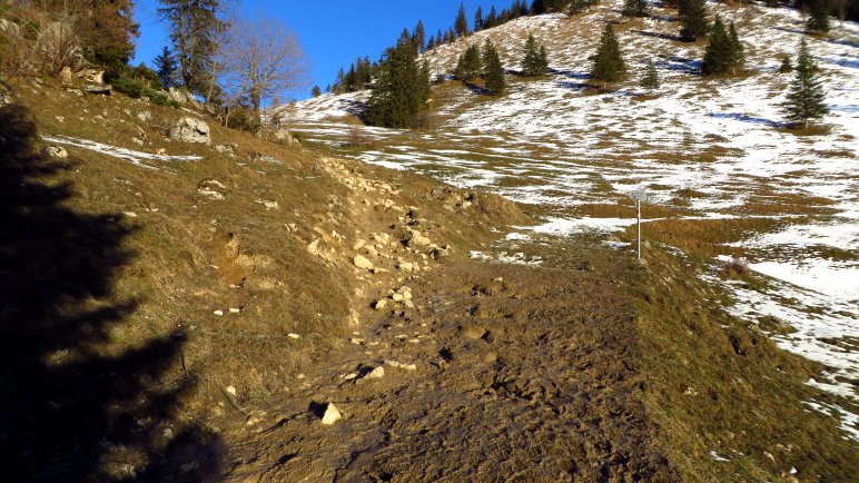 Wiesenaufstieg und geschmolzener Schnee =  extra batziger Weg