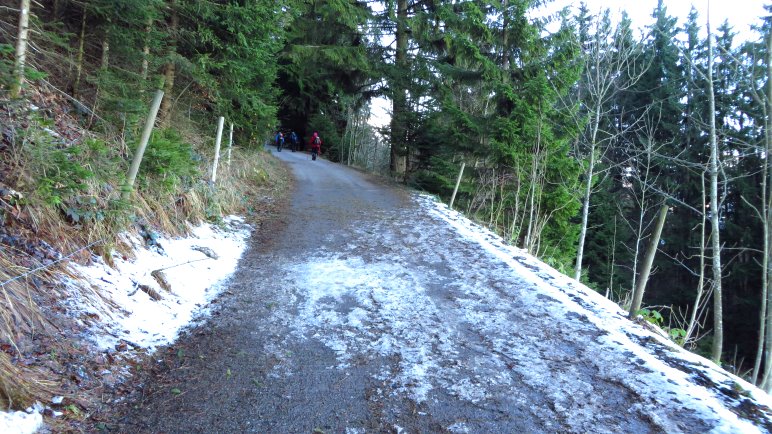 Die Forststraße zur Doaglalm dient eigentlich auch als Rodelbahn. Nicht so im Dezember 2013