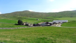 An der Stockdale Farm