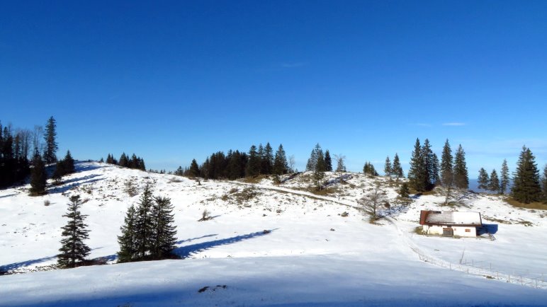 Endlich in der Sonne wandern: An der Wimmeralm