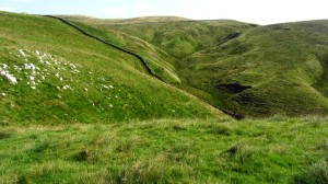 Grüne Yorkshire Dales