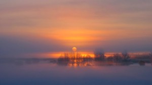 Der Morgennebel hängt über dem Moos. Ein Märzfoto