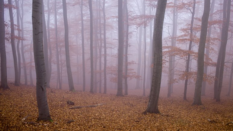 Auf einer Wanderung durch Deutschland - Foto: Jens Franke