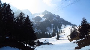 Der Blick von der Mittelstation hoch zur Bergstation