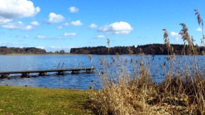 Am Pelhamer See, an der Badestelle am Ort Pelham