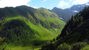Grüne Berge rund herum