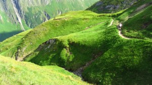 Über die Wiesenberge auf den letzten Metern zur Gleiwitzer Hütte