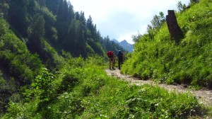 Kurz hinter der Brücke, auf dem Weg zur Hirzbachalm