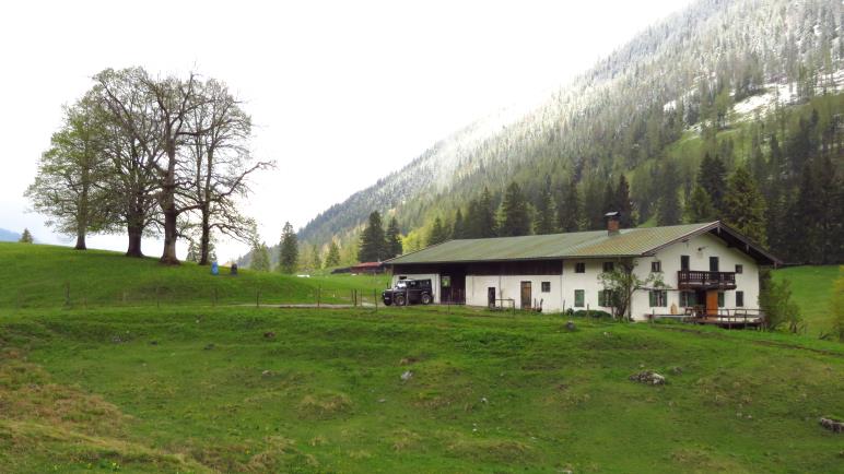 Die Niederhofer-Alm