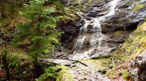 Ein schöner Wasserfall im Wald