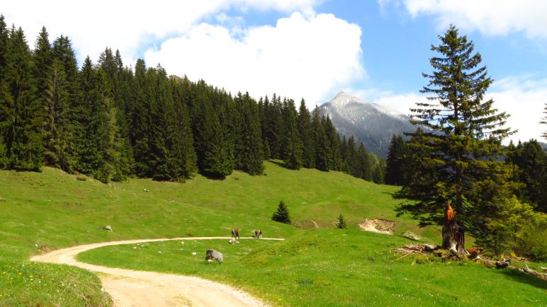 Die letzten Meter zum sillberghaus