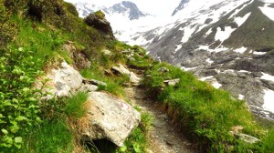 Auf dem schmalen Steig zur Greizer Hütte