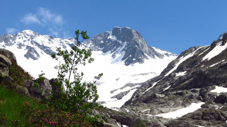 Auf dem Weg durch den Floitengrund zur Greizer Hütte im Zillertal haben wir das Floitenkees immer im Blick