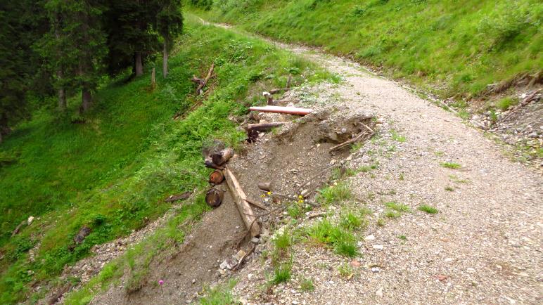 EIn Abbruch am Buchaweg