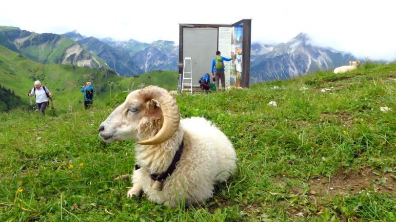 Auf dem Neunerköpfle-Gipfel