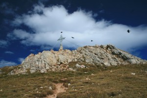 Nur der oberste Gipfelbereich der Rofanspitze mit dem Gipfelkreuz ist felsig, davor ist es auf diesem Weg ein Grasberg