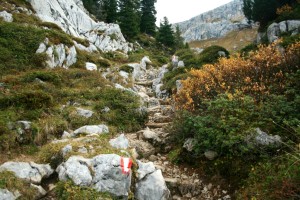 Auf dem Weg zur Rofanspitze