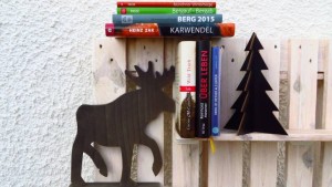 Buchtipps zu Weihnachten - als Last-Minute-Geschenk oder als sinnvolle Investionen eines Gutscheins
