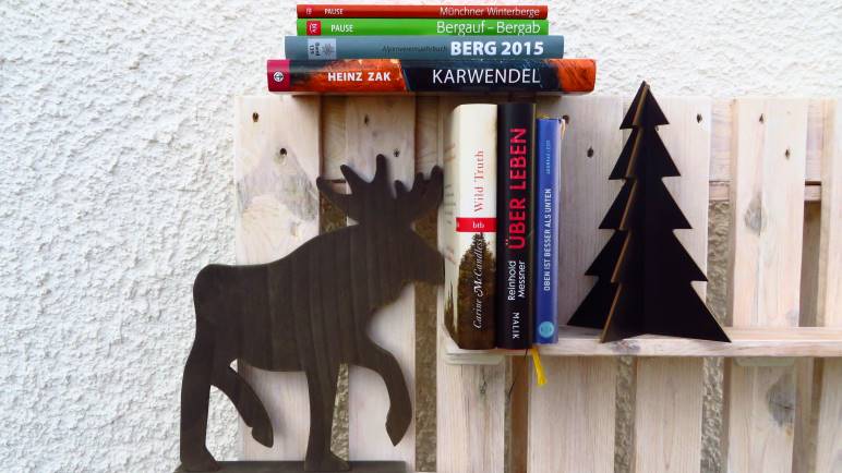 Buchtipps zu Weihnachten - als Last-Minute-Geschenk oder als sinnvolle Investionen eines Gutscheins