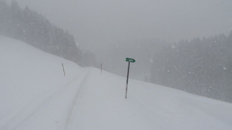 Den Abzweig nach Sachrang nehme ich jetzt nicht mehr, ich bleibe auf der Straße