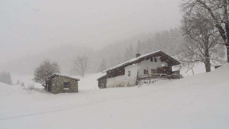 Die Alm, von der aus ich zur Gogl-Alm gequert bin