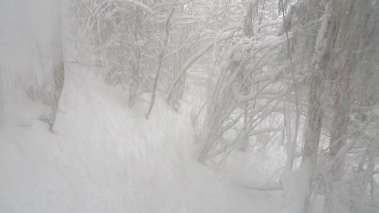 Oh, eine Baumlawine, sehr erfrischend, wenn der Schnee in den Nacken fällt